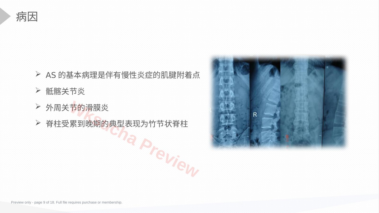 预览第 9 页