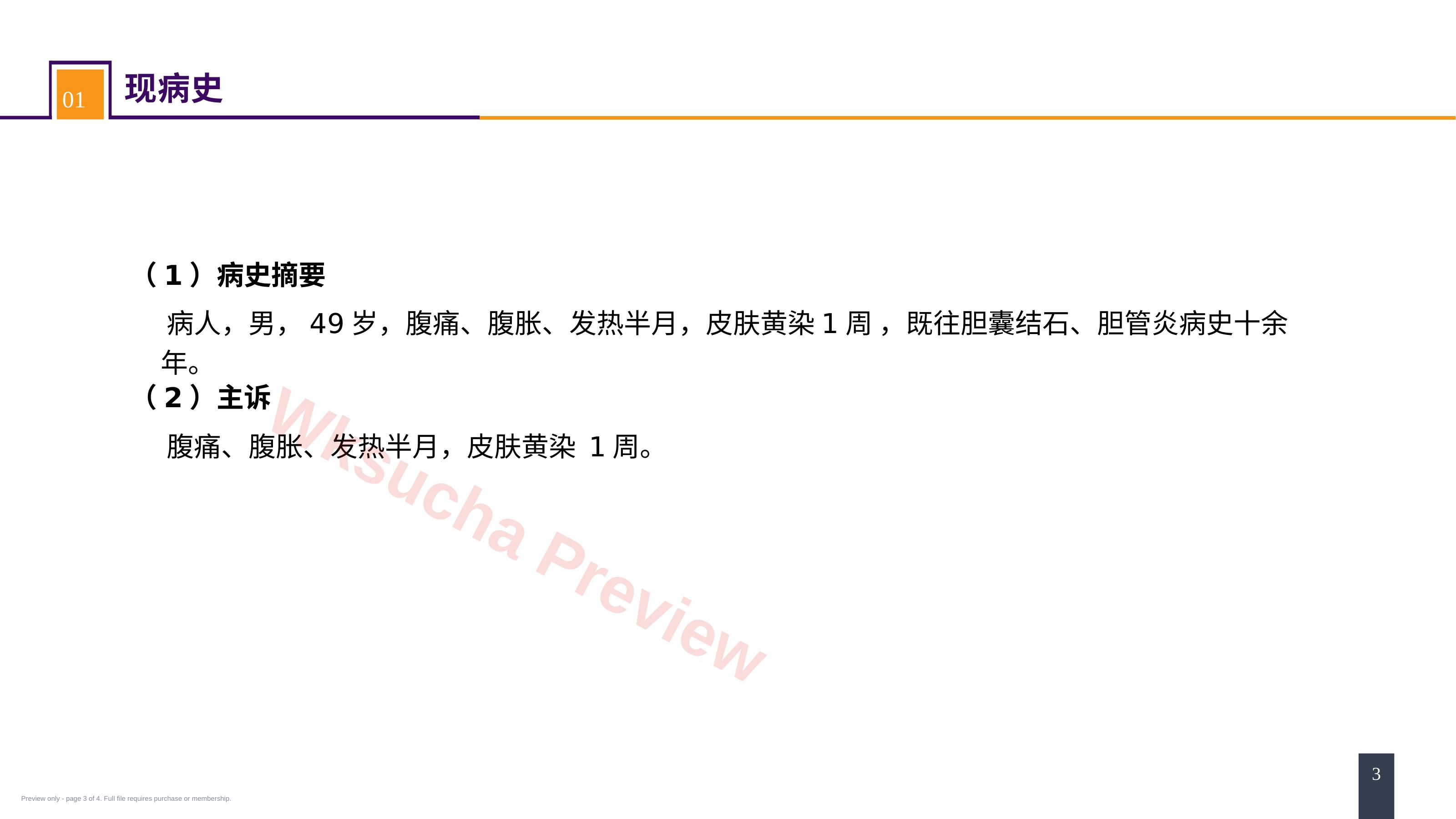 预览第 3 页