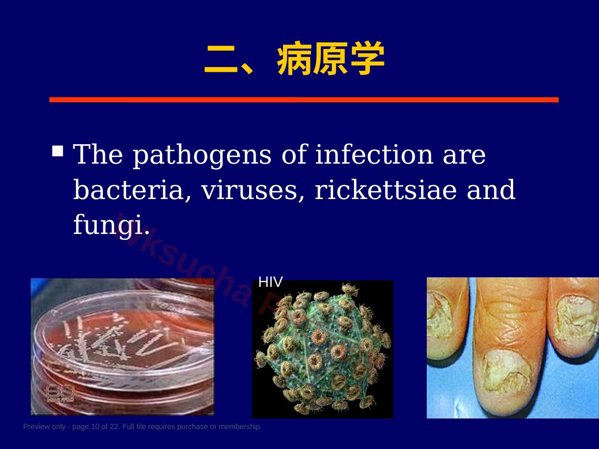 预览第 10 页
