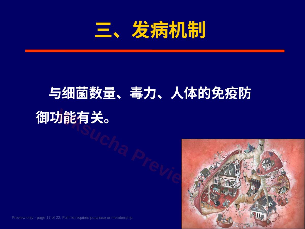 预览第 17 页