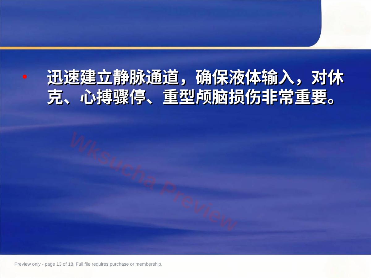 预览第 13 页