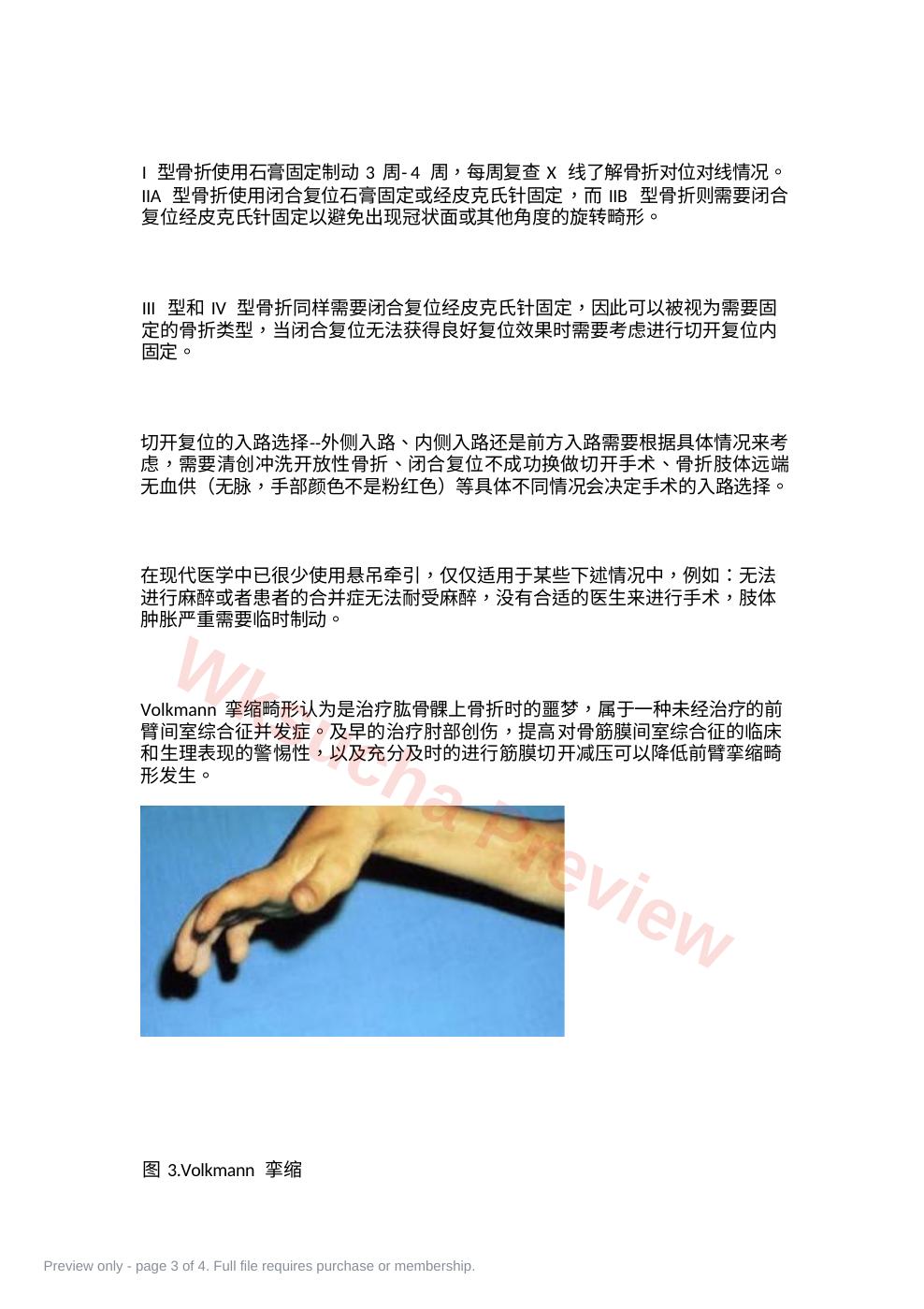 预览第 3 页