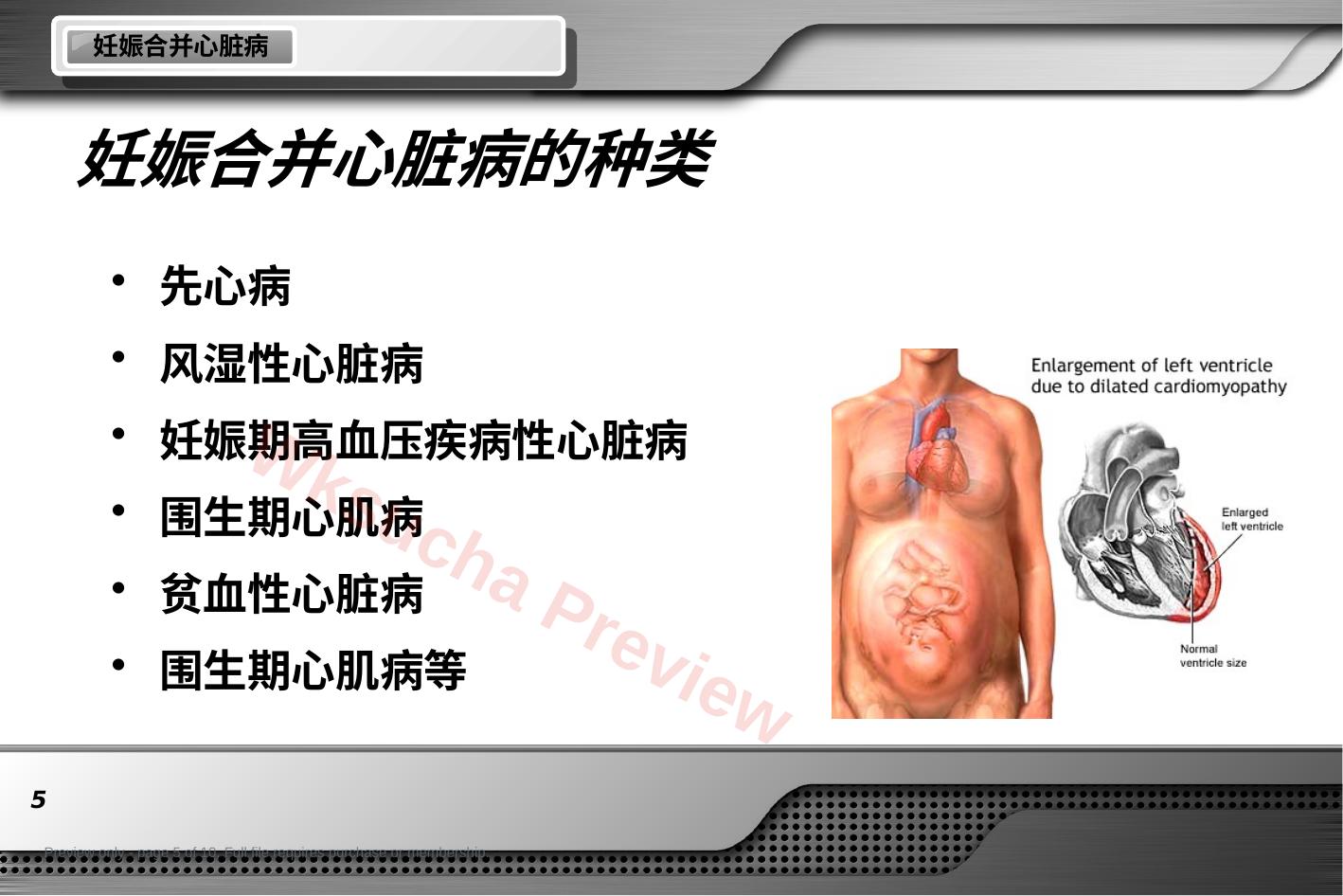 预览第 5 页