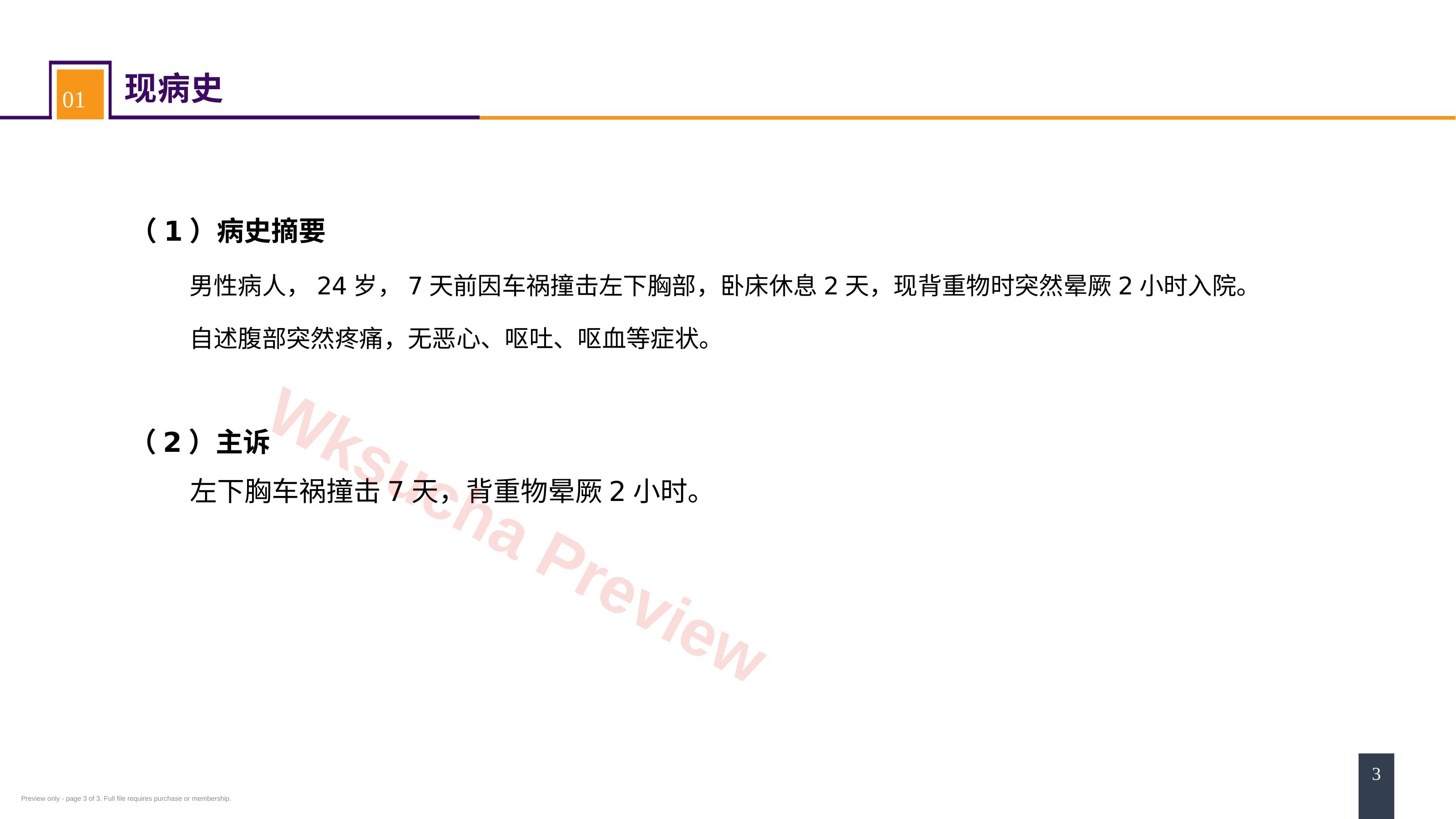 预览第 3 页