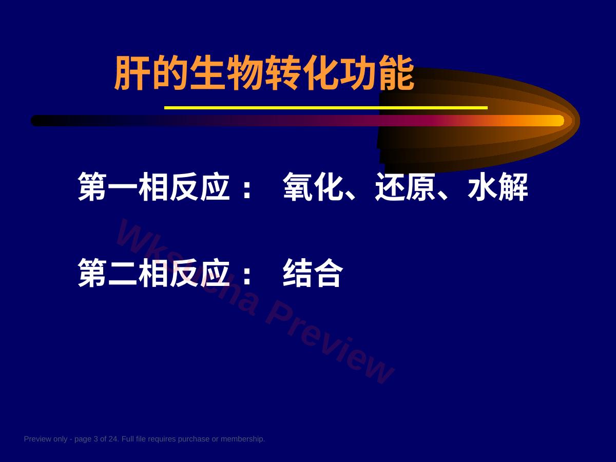 预览第 3 页