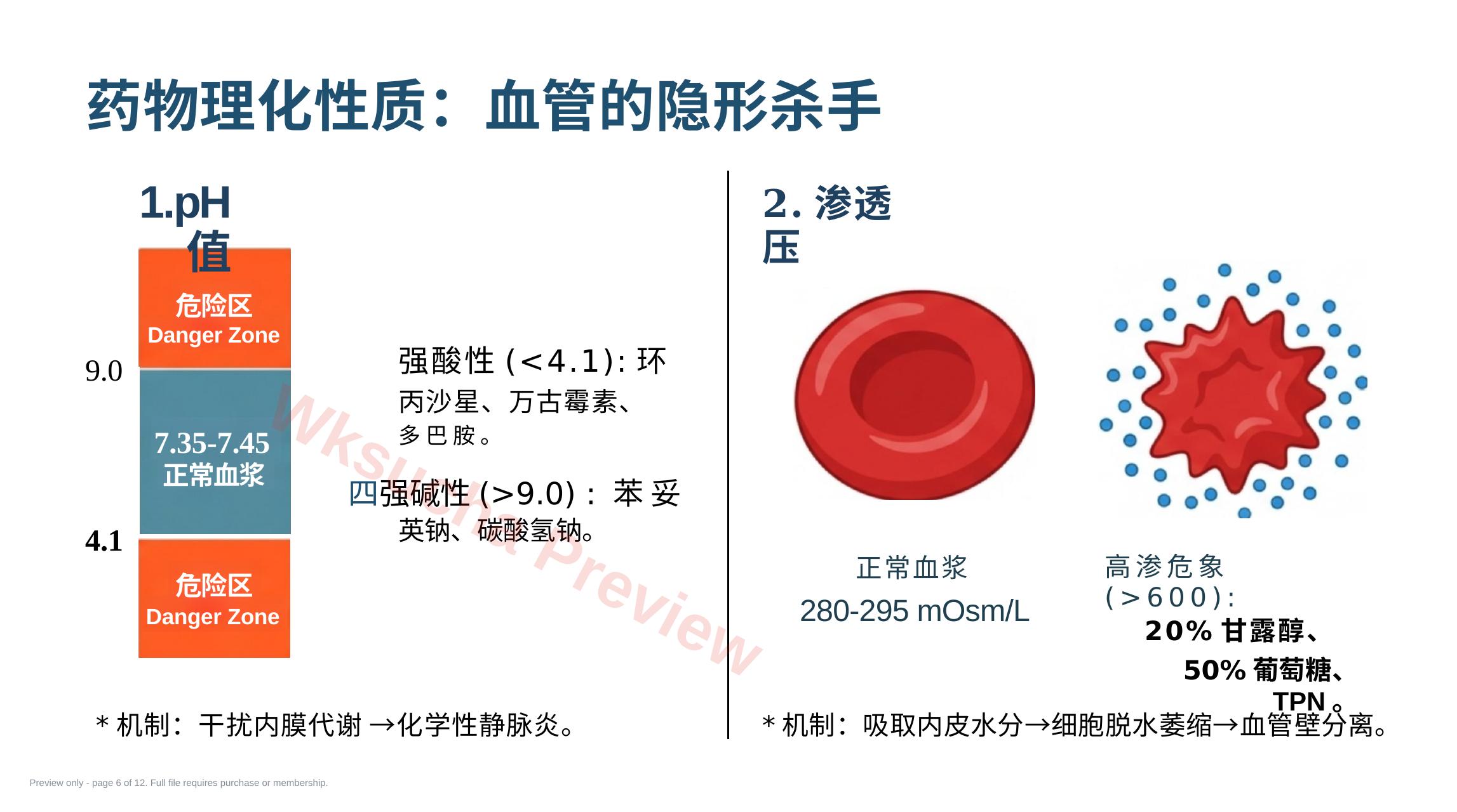 预览第 6 页