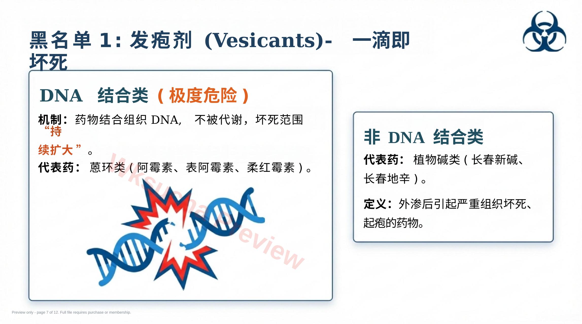 预览第 7 页