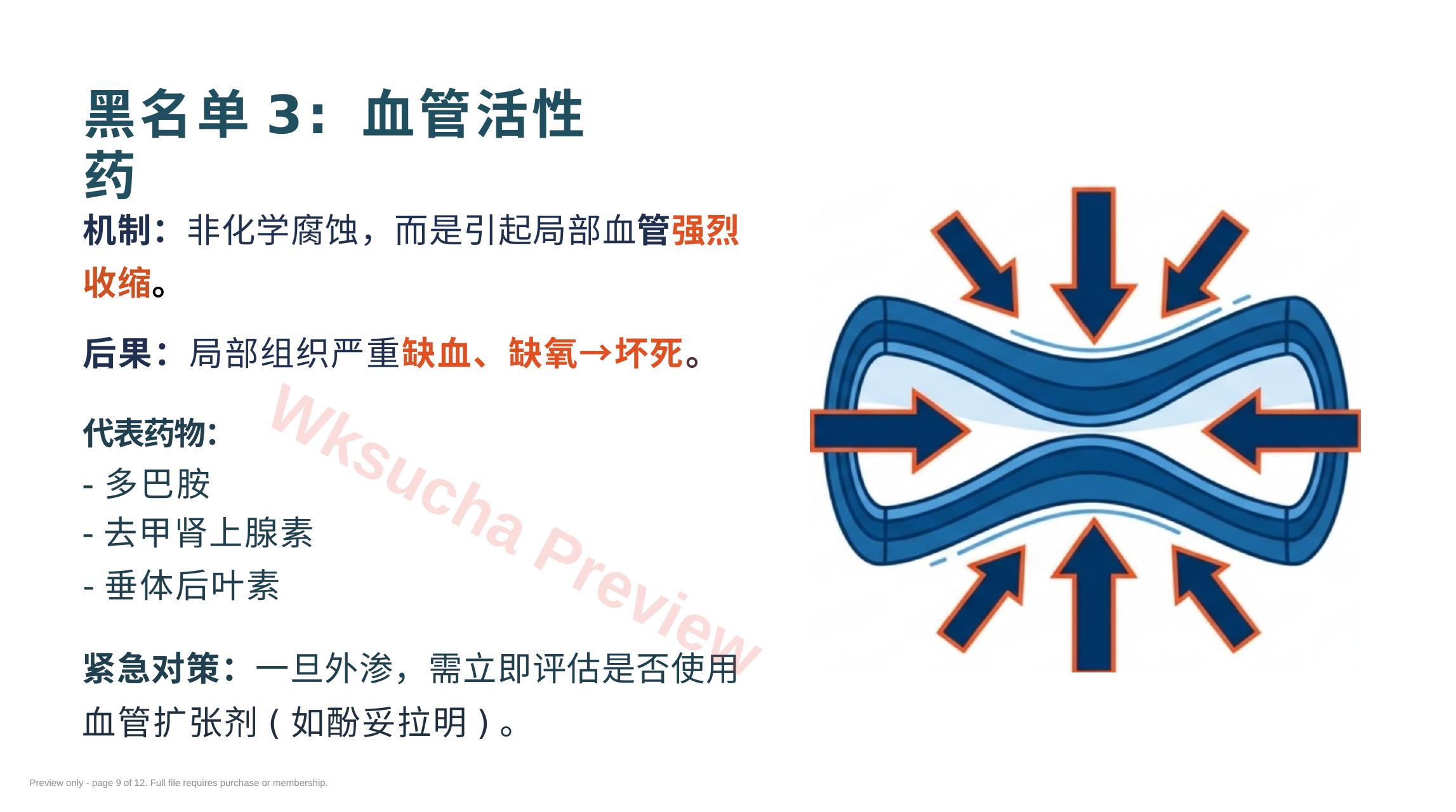 预览第 9 页