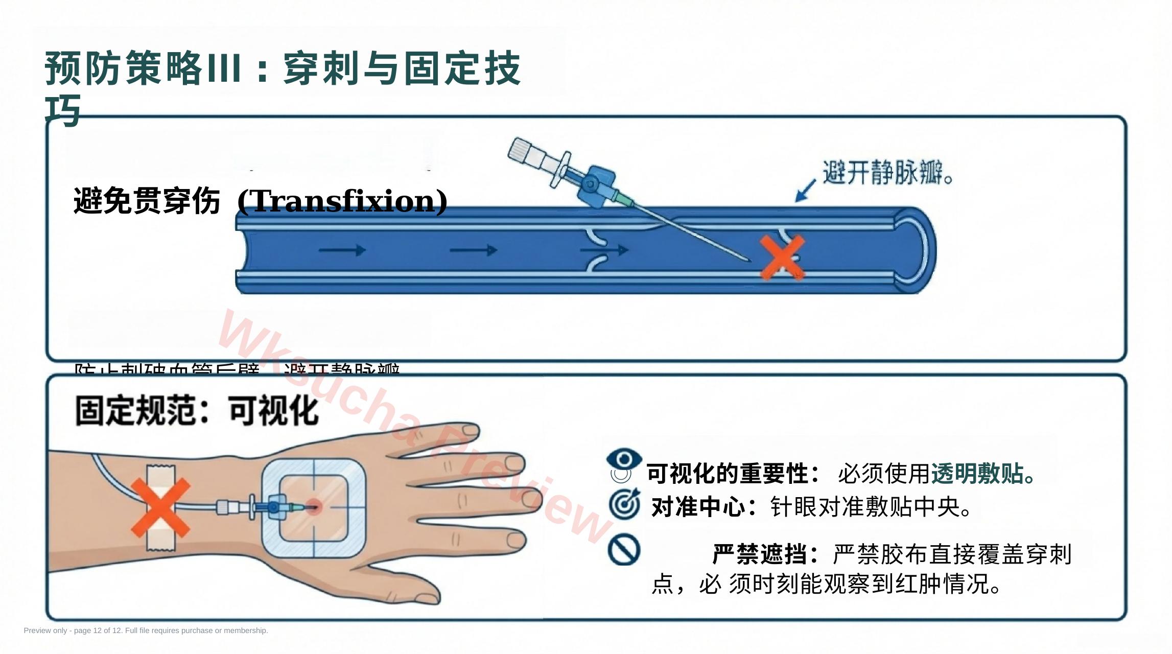预览第 12 页