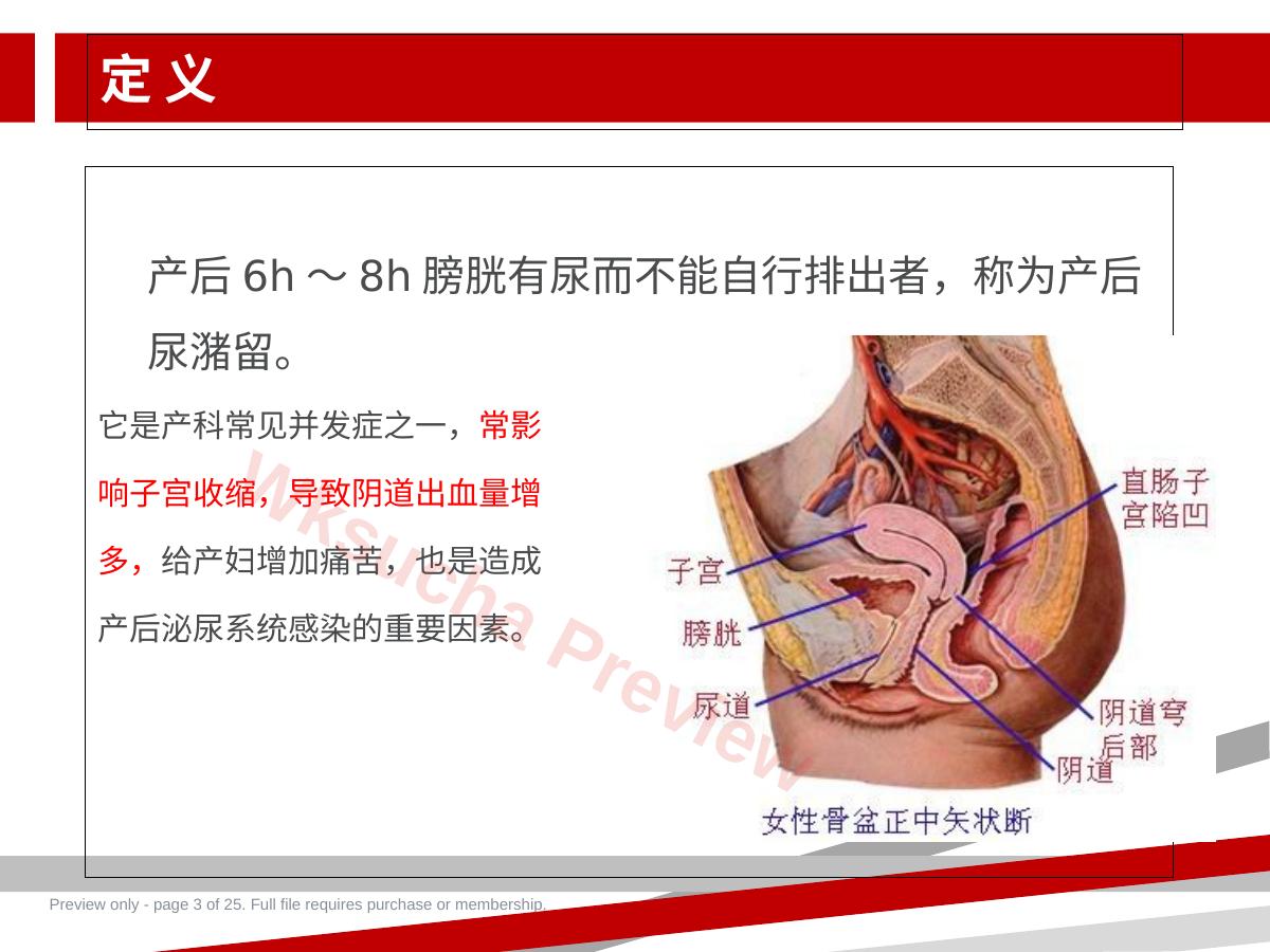 预览第 3 页