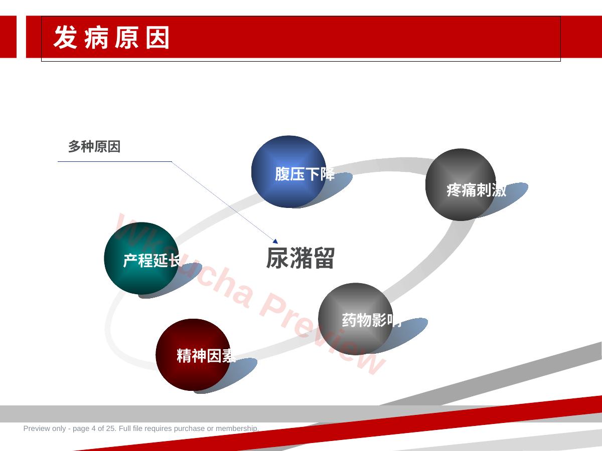 预览第 4 页