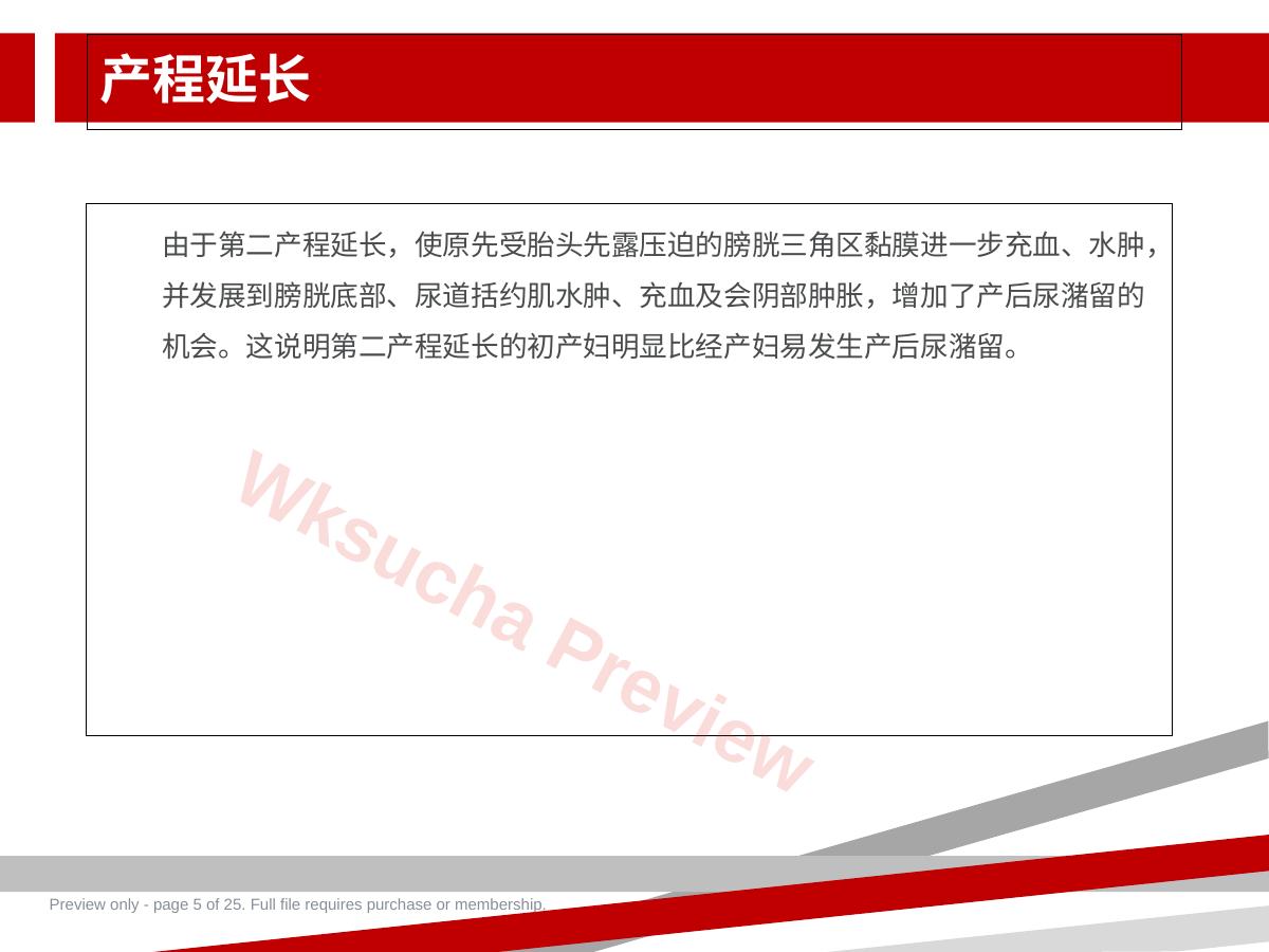 预览第 5 页