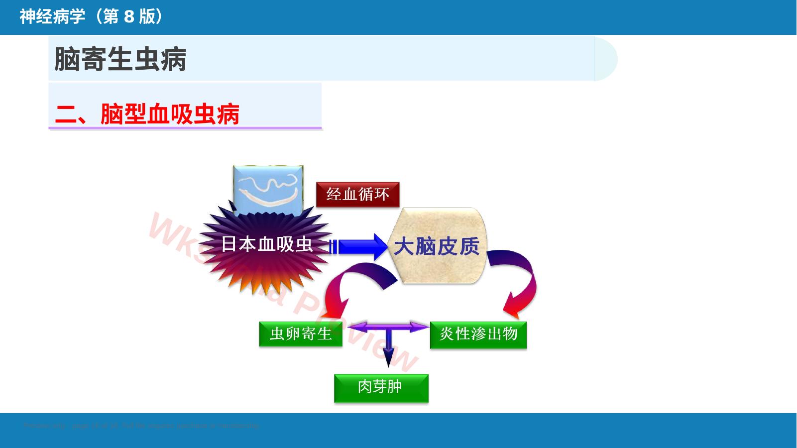 预览第 16 页