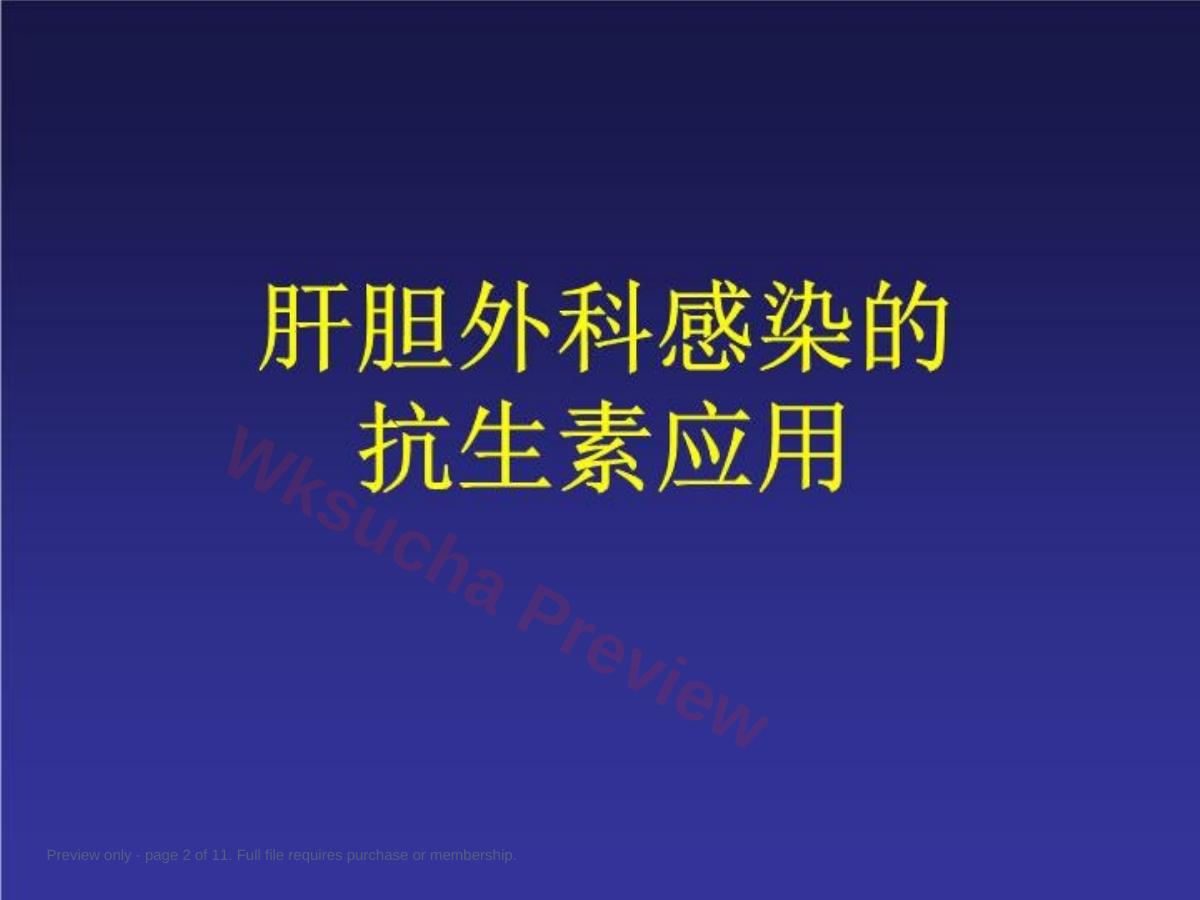 预览第 2 页