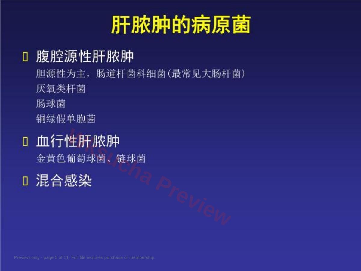 预览第 5 页