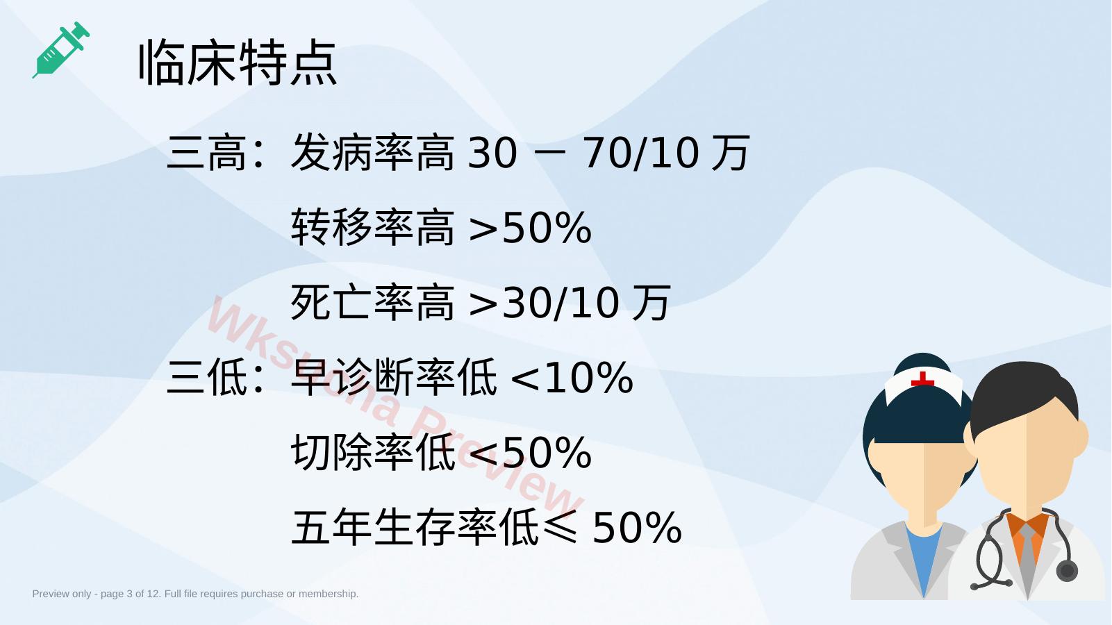预览第 3 页