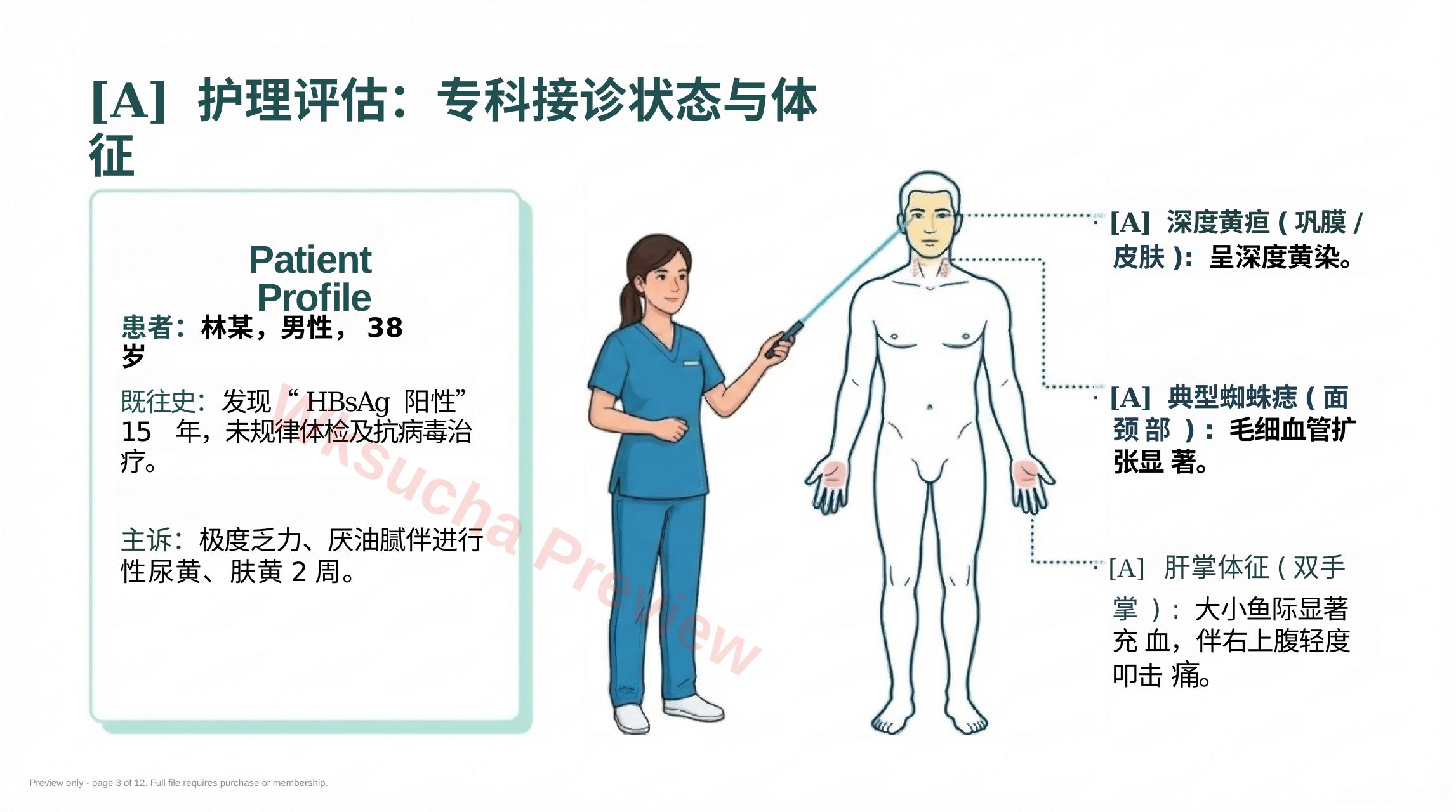 预览第 3 页