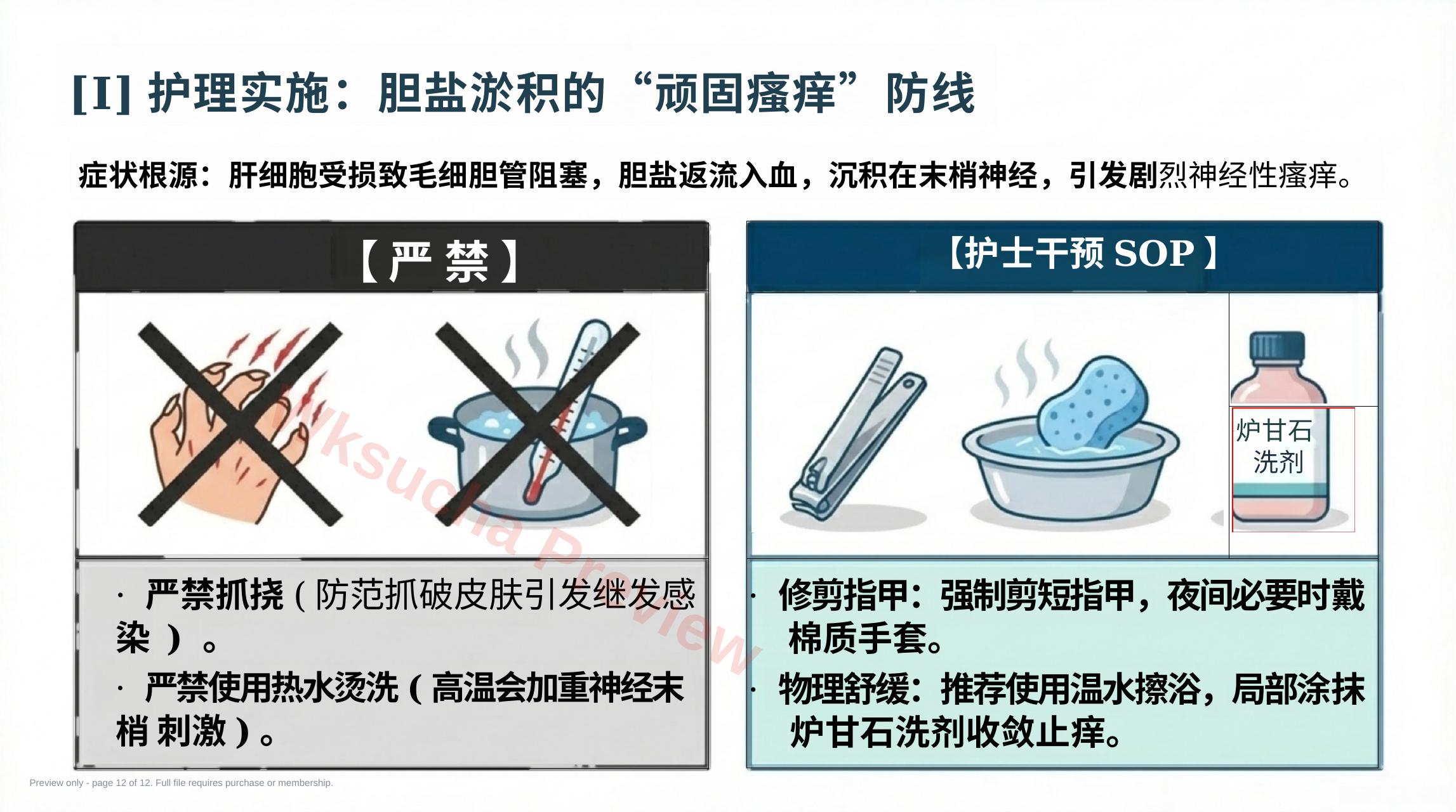 预览第 12 页