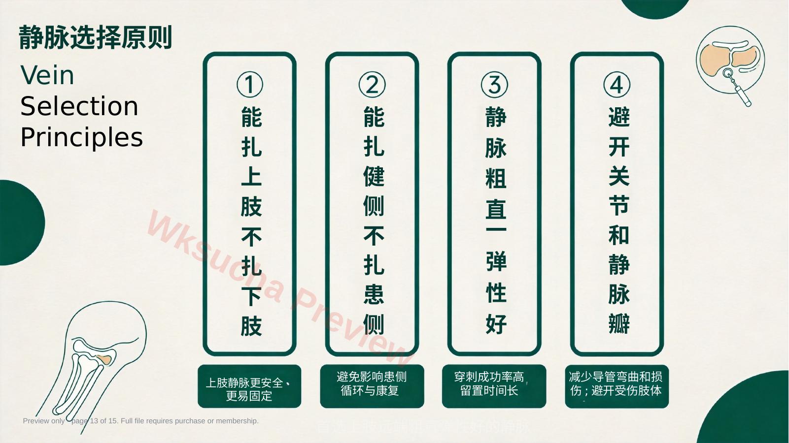 预览第 13 页