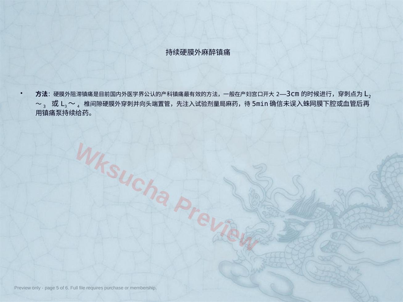 预览第 5 页