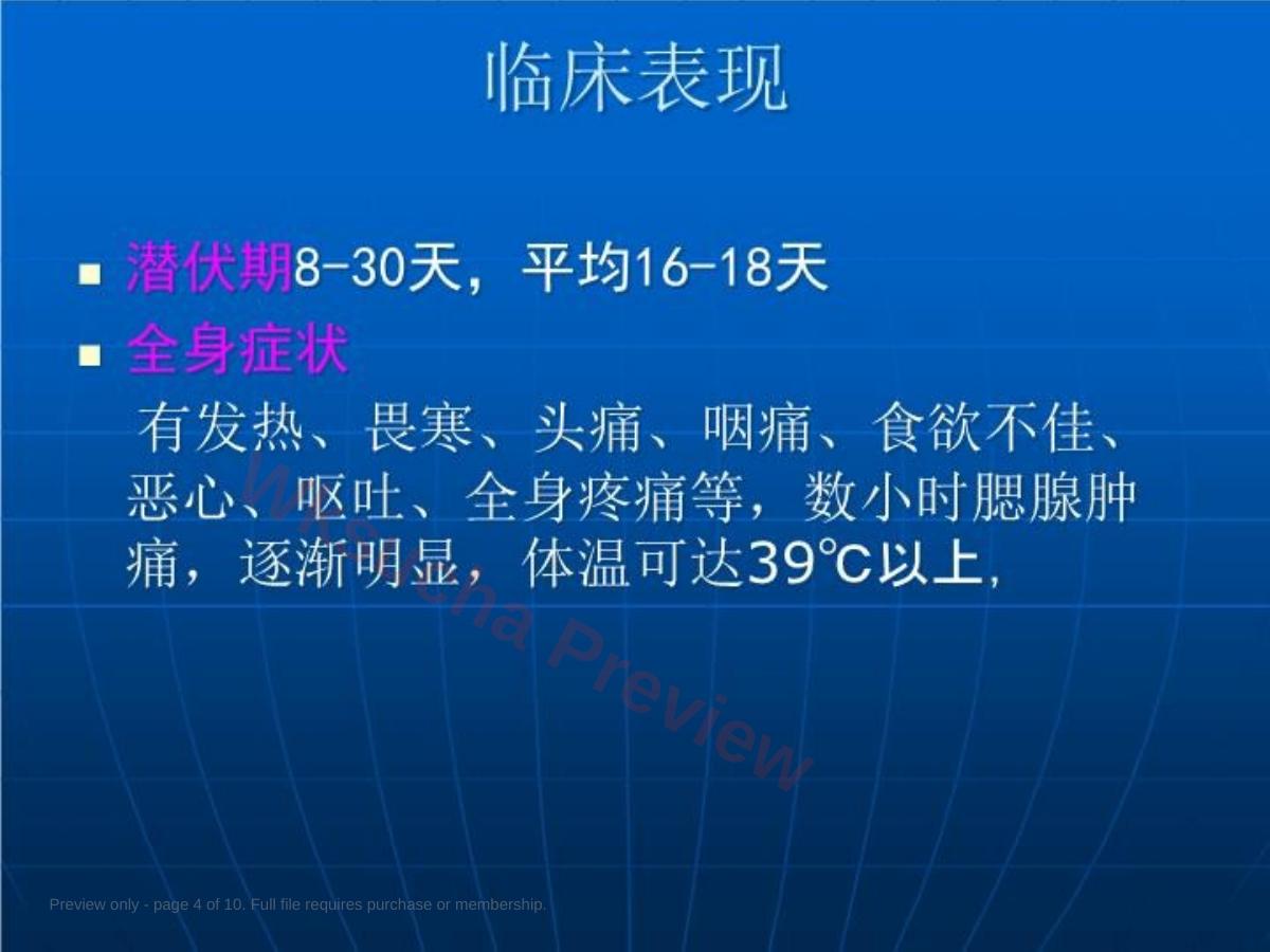 预览第 4 页