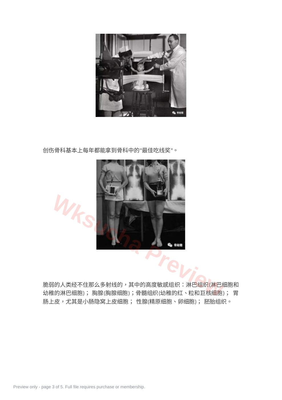 预览第 3 页