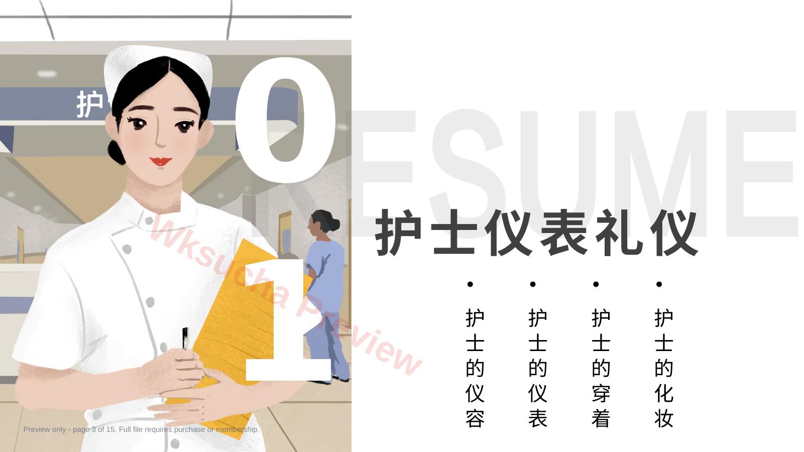 预览第 3 页