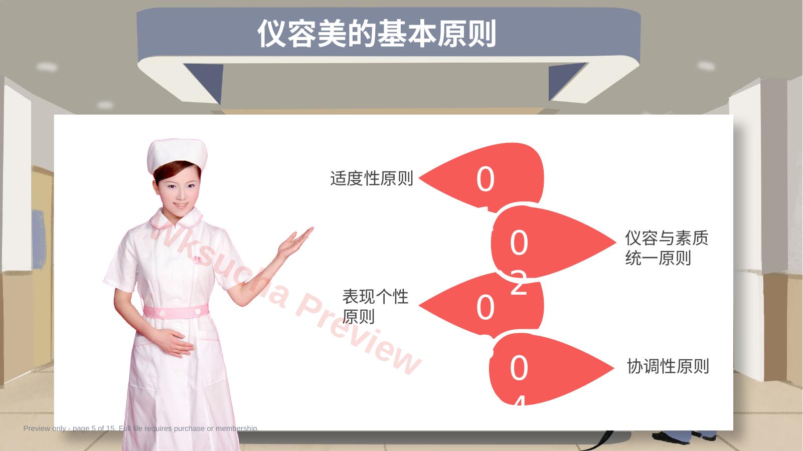 预览第 5 页