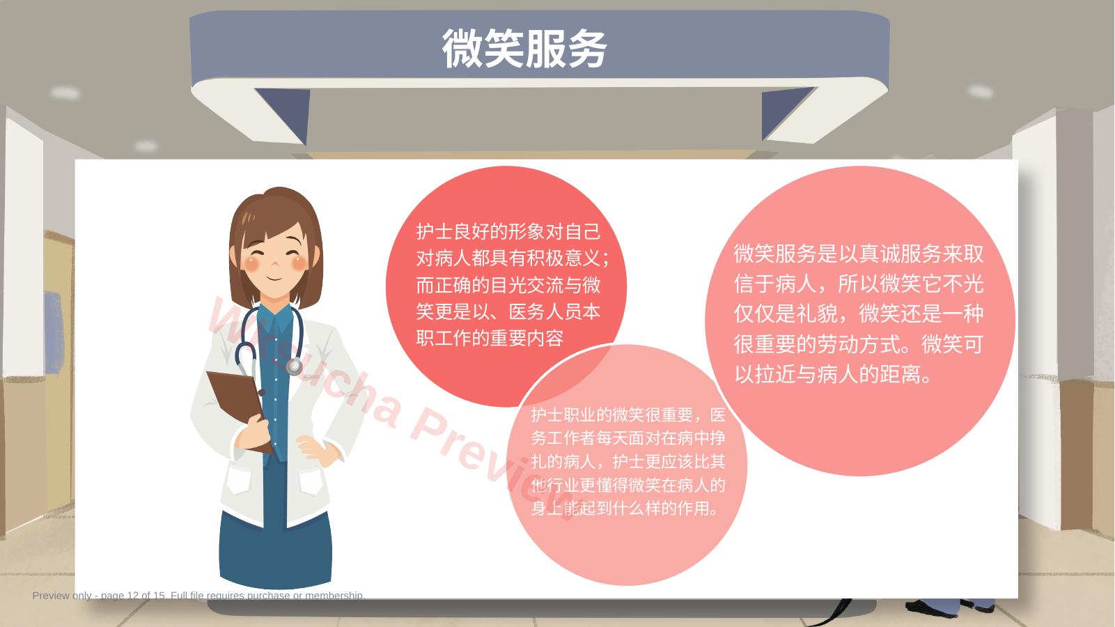 预览第 12 页
