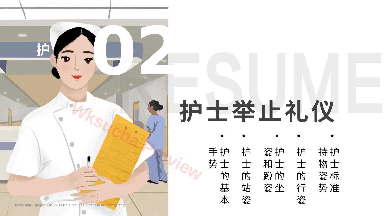 预览第 15 页
