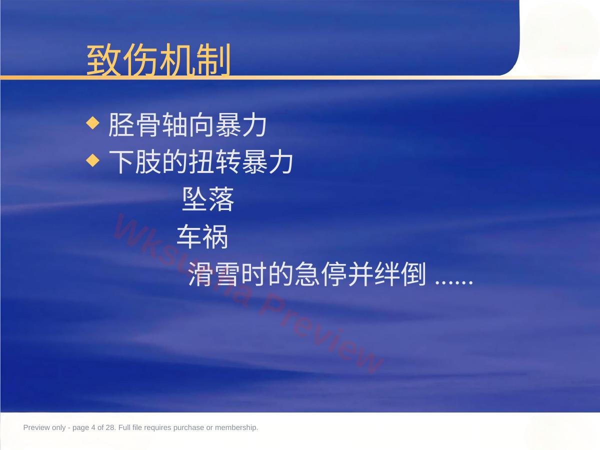 预览第 4 页