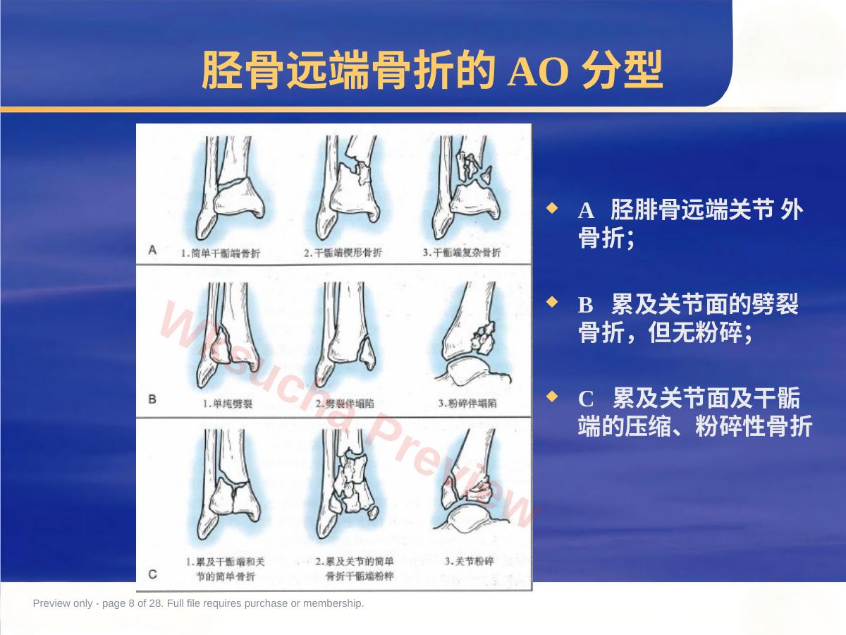 预览第 8 页