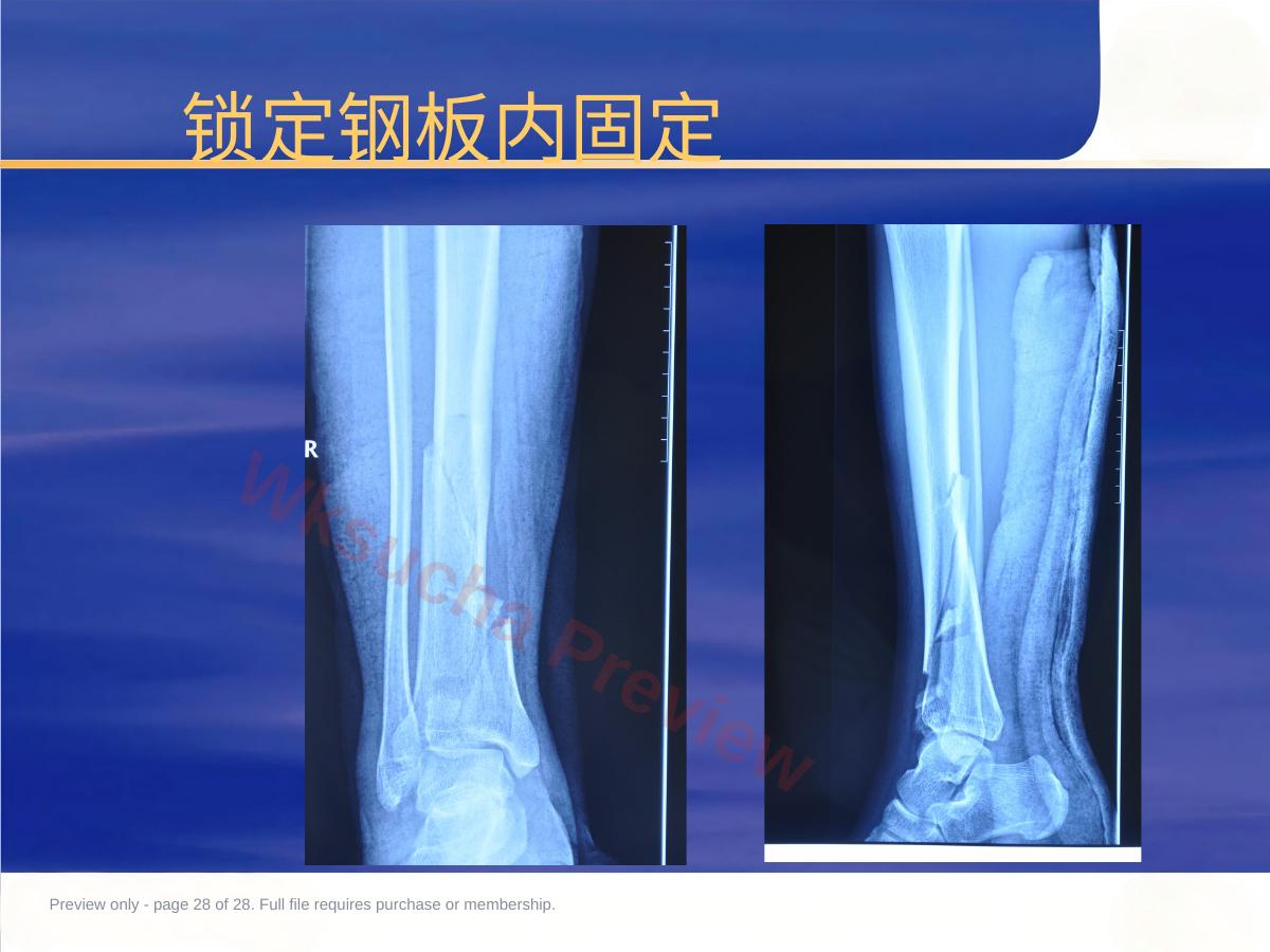 预览第 28 页