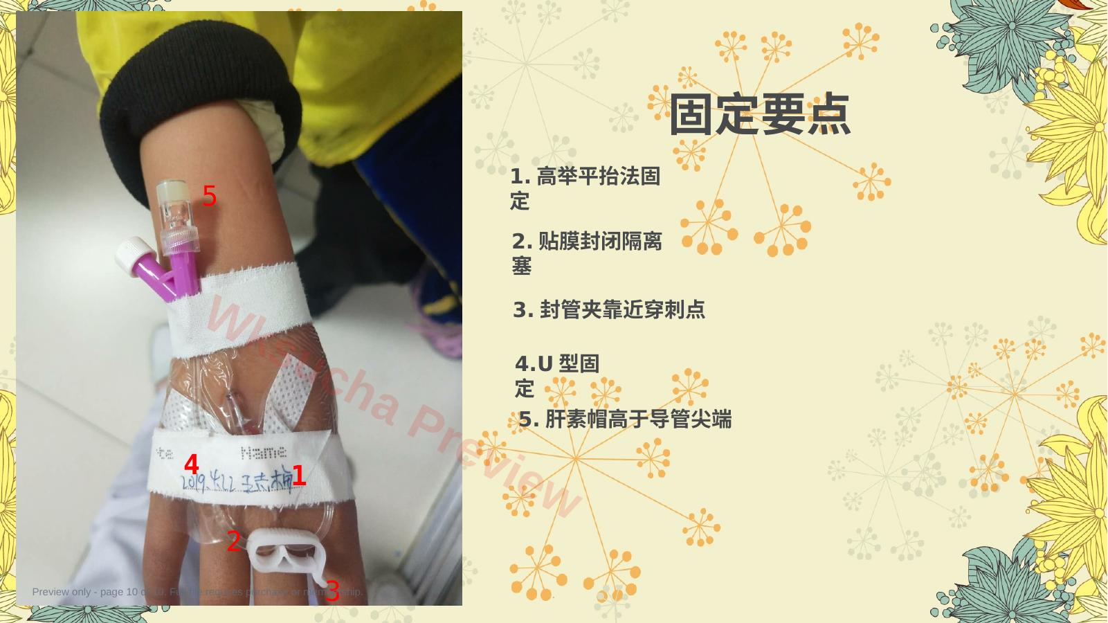 预览第 10 页