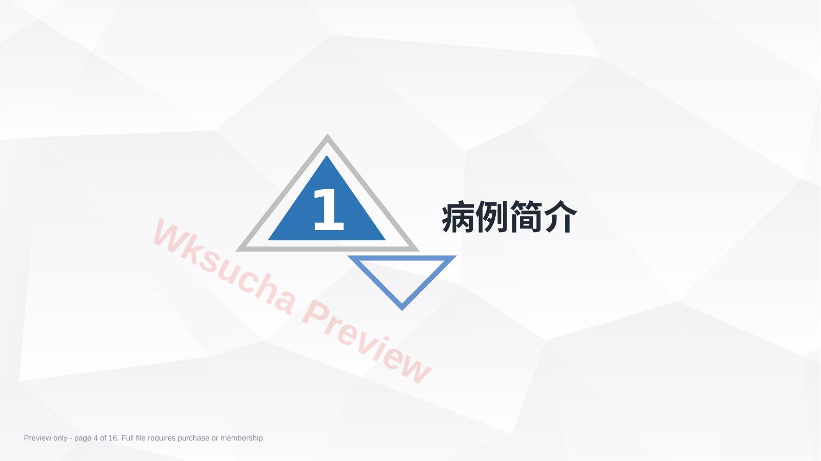 预览第 4 页