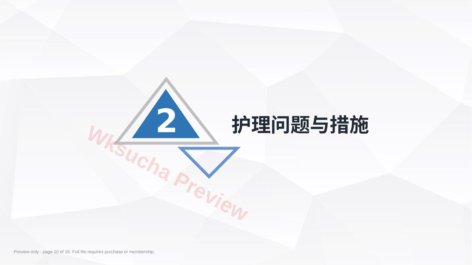 预览第 10 页