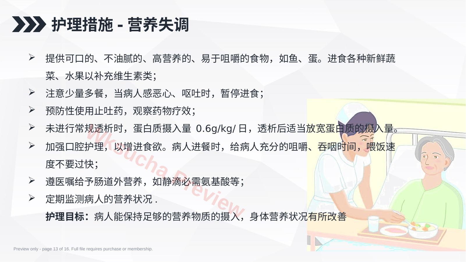 预览第 13 页