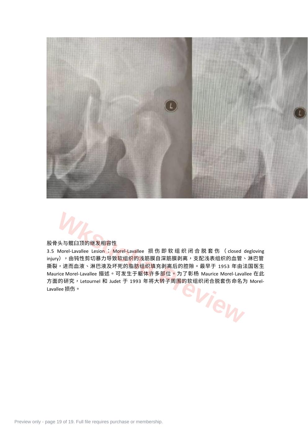 预览第 19 页