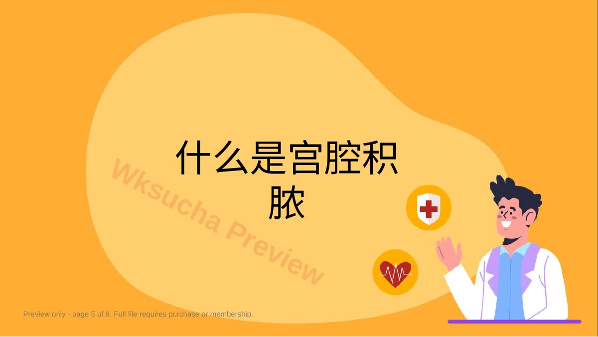 预览第 5 页