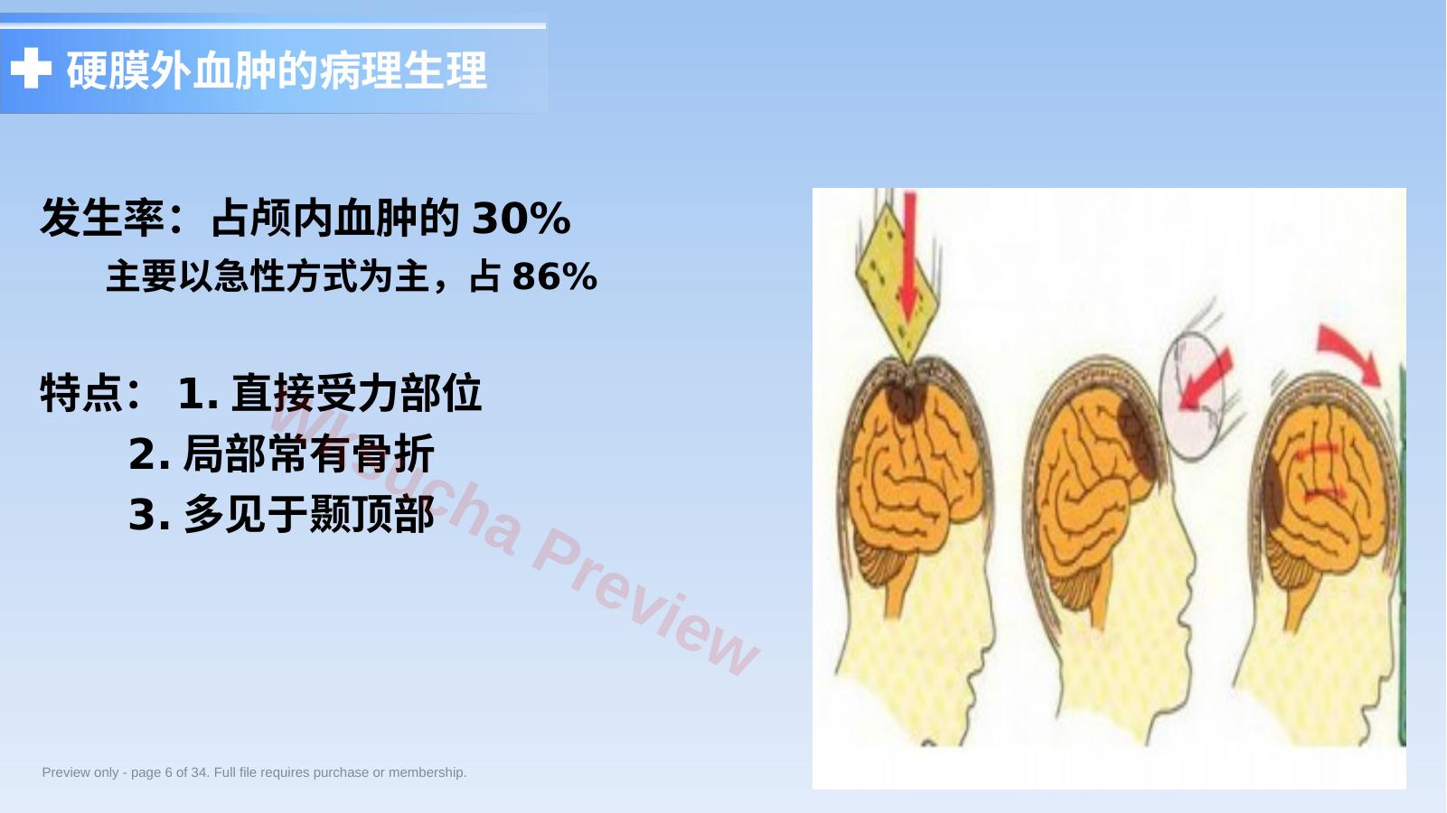 预览第 6 页