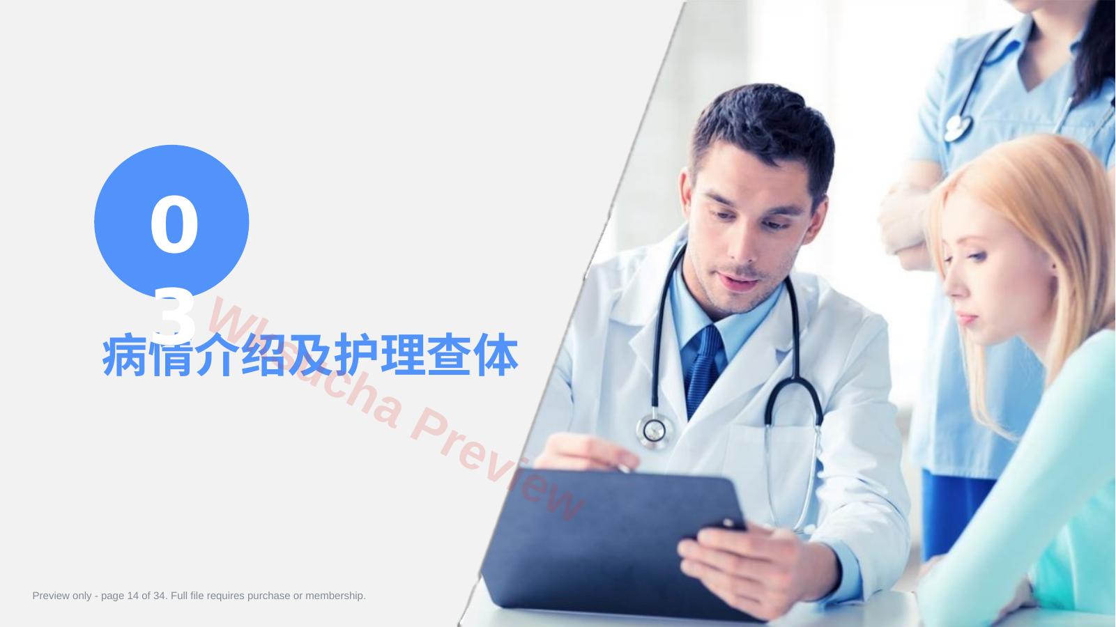 预览第 14 页