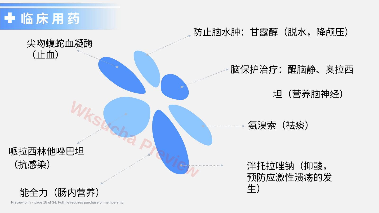预览第 18 页