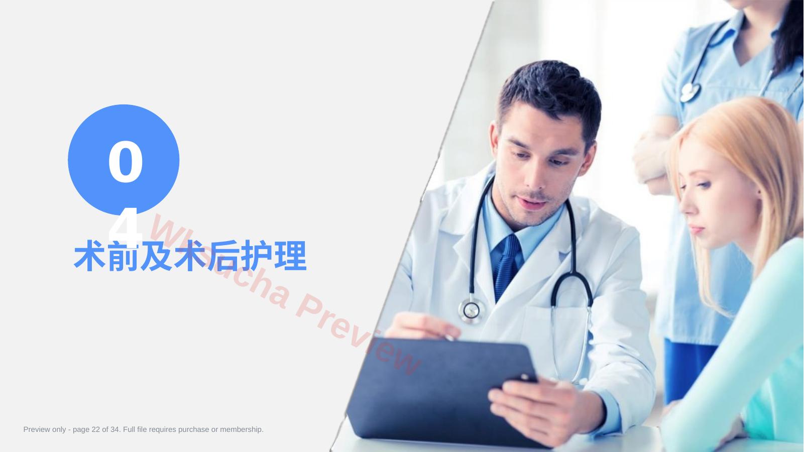 预览第 22 页