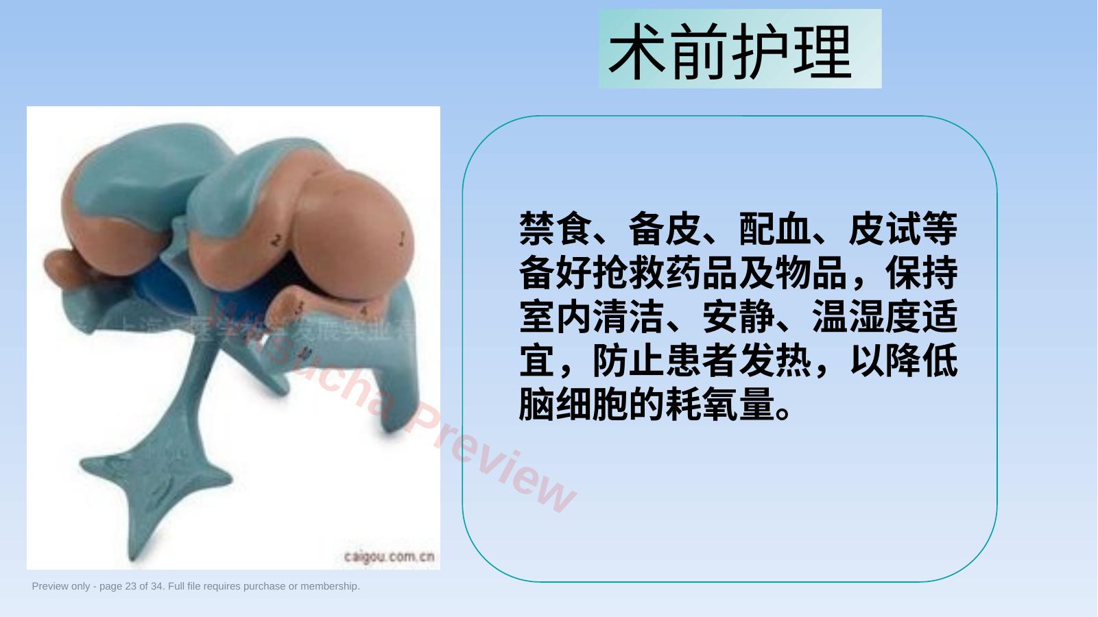预览第 23 页