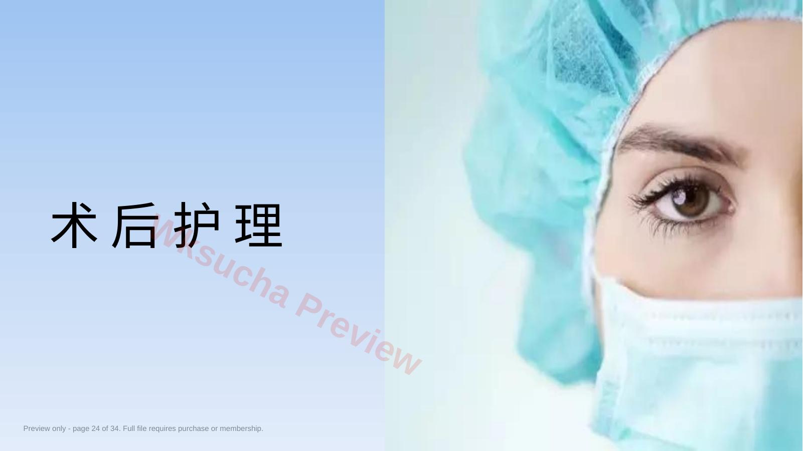 预览第 24 页