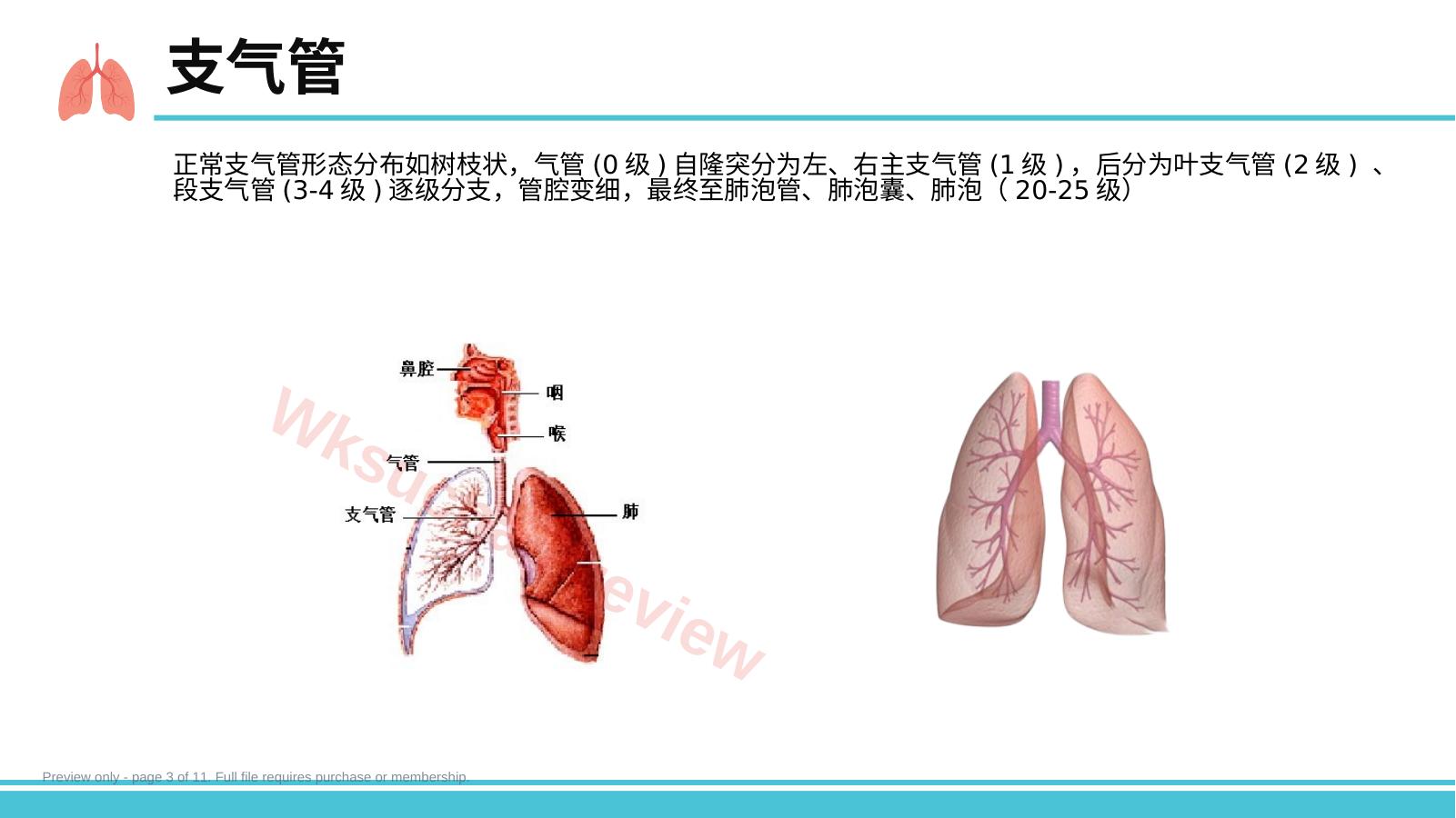 预览第 3 页
