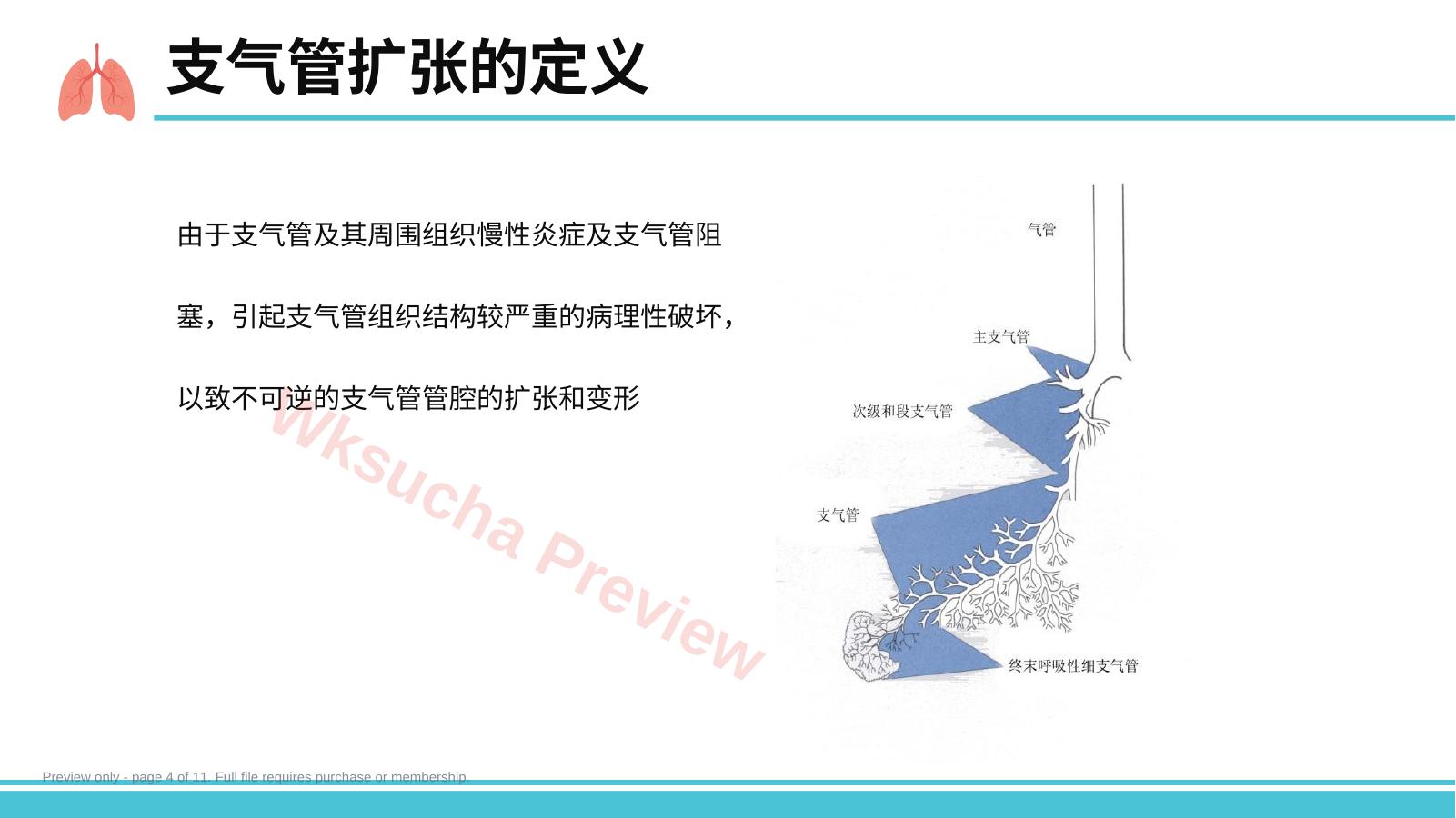 预览第 4 页