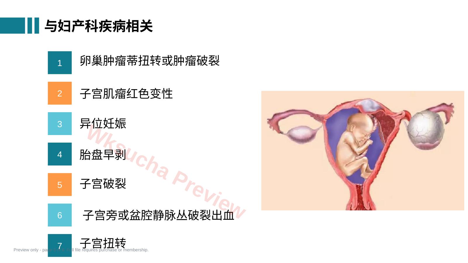 预览第 3 页