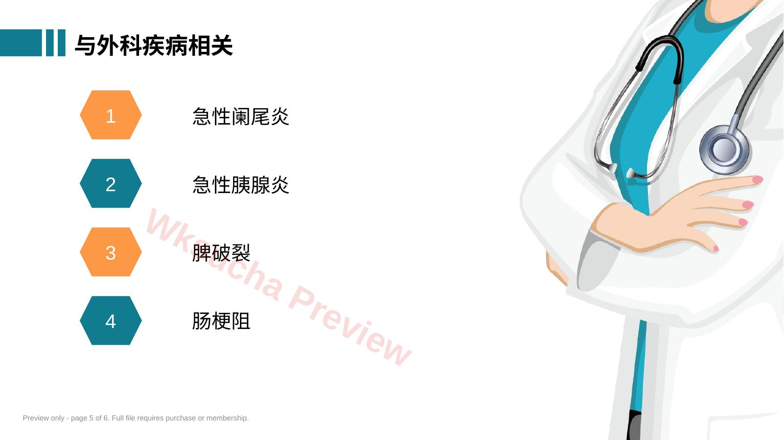 预览第 5 页