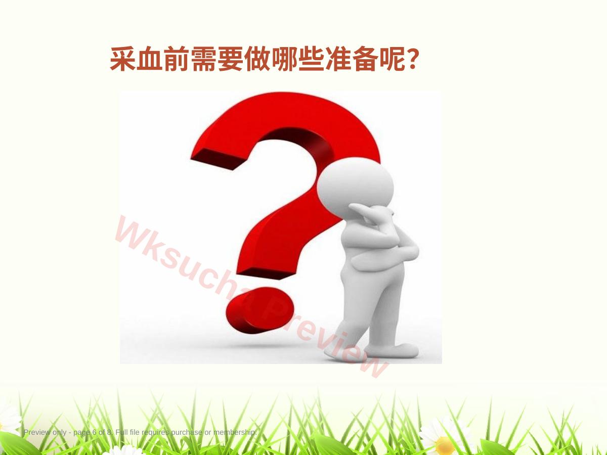 预览第 6 页